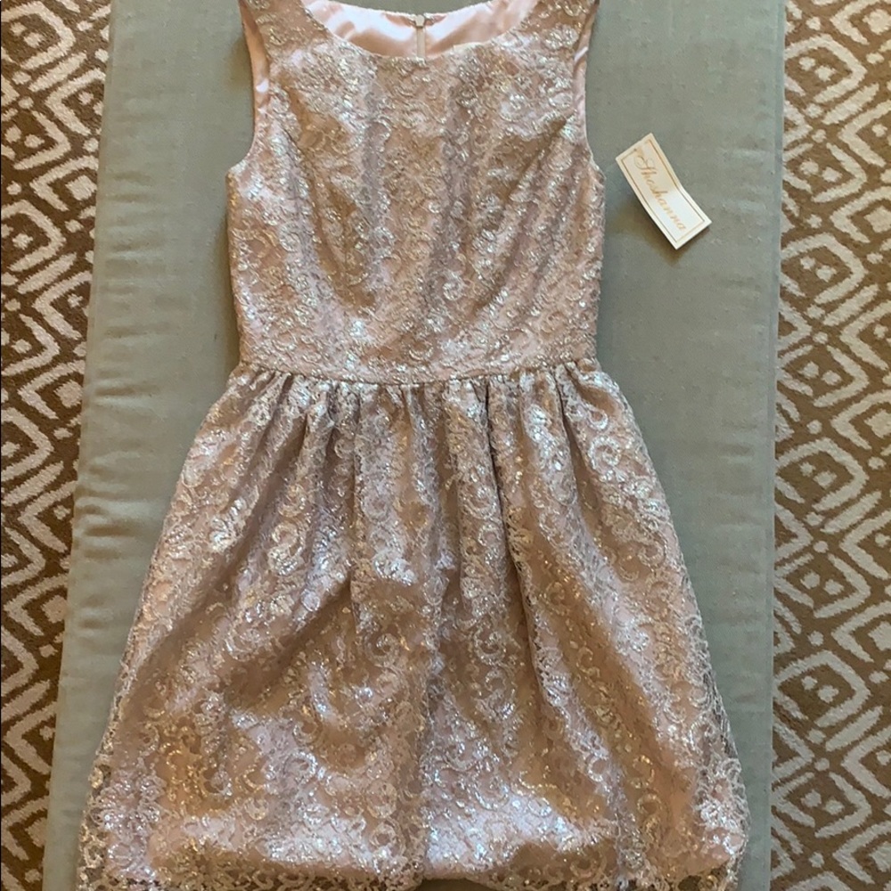 Shoshanna dress. Light pink and silver.